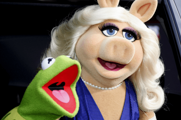 The Muppet Show