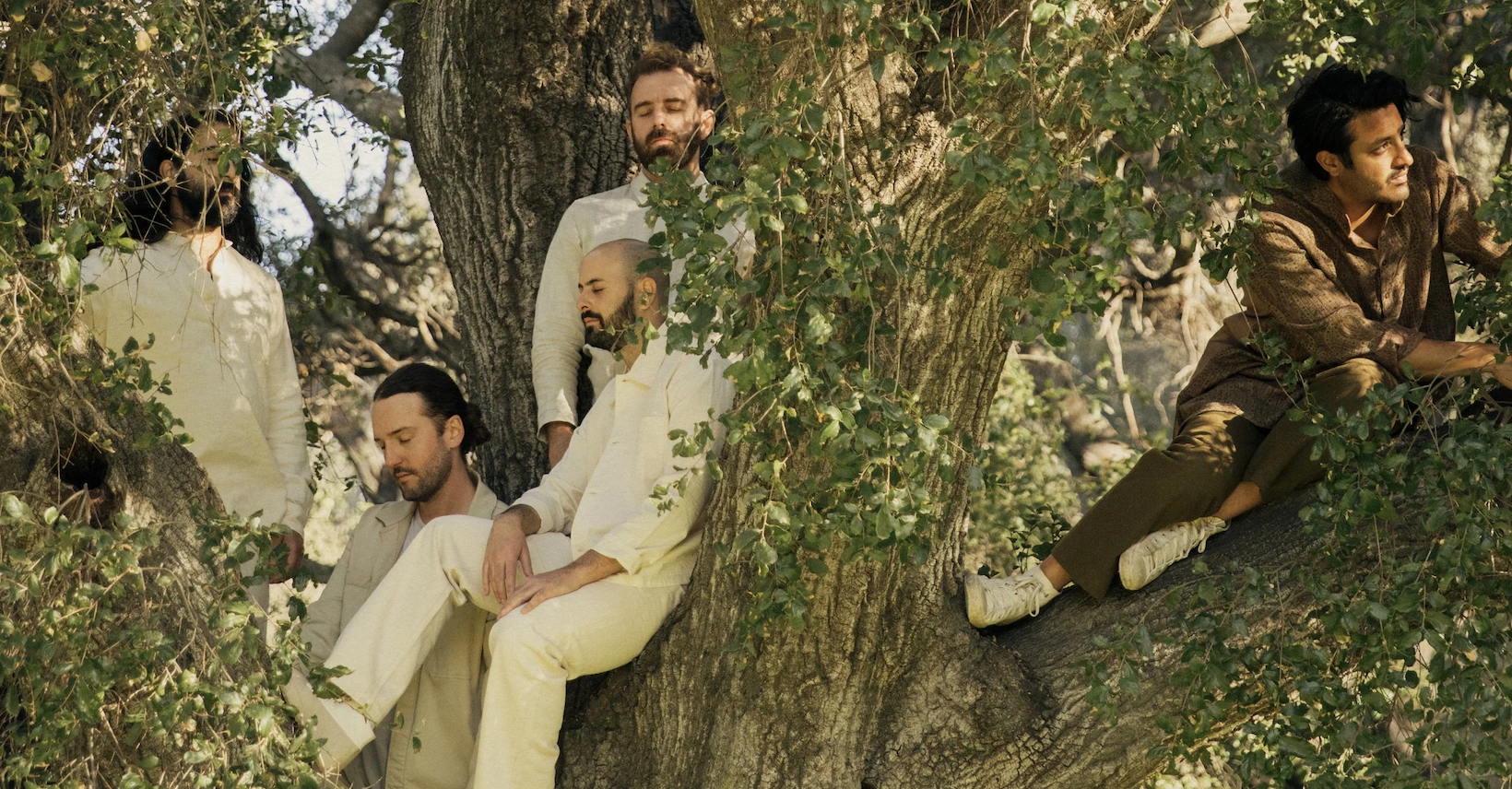 Young the Giant